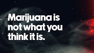 Marijuana is not what you think it is