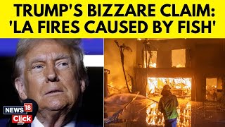 California Wildfires 2025 | Why Donald Trump Wrongly Blames A Fish For LA Wildfires | US News | N18G