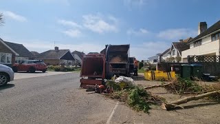 small chipper takes massive timber #greenmech #arborist #felling #chipping