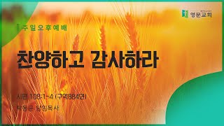 영문교회 Young mun Church 추수감사찬양예배 241117