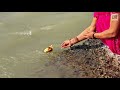 rishikesh through its people 4k english subtitles