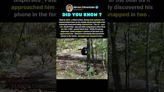 Back in 2014, a hiker in New Jersey took a picture of a massive black bear on hi...