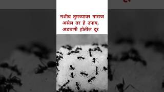 नशीब तुमच्यावर नाराज असेल तर हे उपाय नक्कीच करा अडचणी लगेच सुटतील।।#youtubeshorts