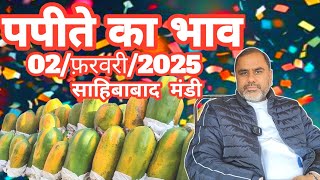 02/फरवरी/2025 पपीते का भाव साहिबाबाद मंडी | papaya rates in mandi #papaya #papite #fruits#fruitrates