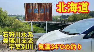 【4K】北海道石狩川水系美瑛川支流「宇莫別川」河川ランガン ニジマス ヤマメ釣行 ルアーフィッシング