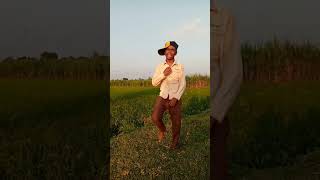 patthar ke sanam best dance video|#shorts #funny #youtubeshorts #dance #viral #video