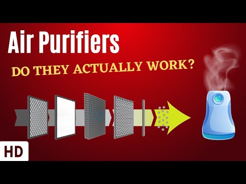 What are the benefits of an air purifier?