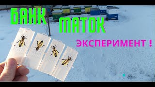 БАНК МАТОК!