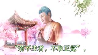 🌿【專依善導大師】—— 眾生稱念  必得往生🪷