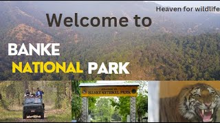 Banke National Park//Documentary//WilderNature//