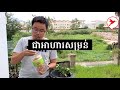 មុខរបរកសិកម្មសក្តានុពលទាំង ៥ sam kosal