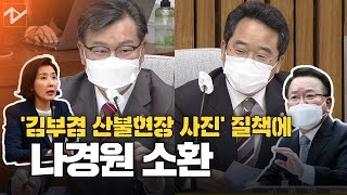 '산불현장 사진' 질책하던 국힘, 결국 나경원까지 소환