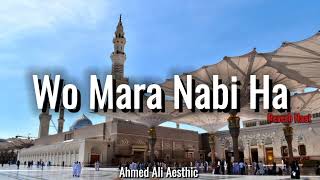 Wo Mera Nabi Hai ✨(Slowed & Reverb)Ahmed Ali Aesthic Full Naat