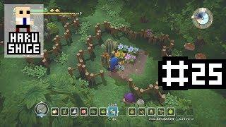 ドラゴンクエストビルダーズ メルキド編 #25 (Dragon Quest Builders)