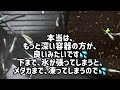 【メダカ　マリアージュ　エメキン】パート5 冬に向けて、これも、綺麗にリセットしました👍　今年生まれ　マリアージュキッシングワイドエメラルドフィン　メダカ　めだか　killifish 金太郎商店