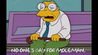 THE SIMPSONS HANS MOLEMAN SCENEC Seasons 11 - 22