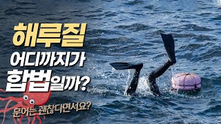 해루질은 불법이다? 어디까지가 합법일까요? (feat. 납/문어)