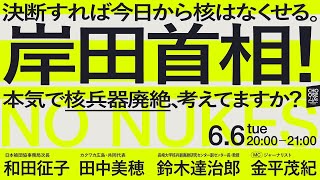 6/6 決断すれば今日から核はなくせる。 岸田首相！本気で核兵器廃絶、考えてますか？　#広島がヒロシマでなくなる日