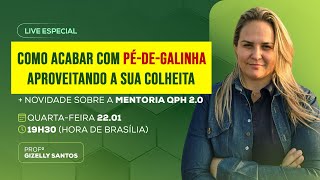 🗓️ LIVE: Como acabar com Pé-de-Galinha, aproveitando sua colheita (+ novidade sobre a Mentoria QPH)