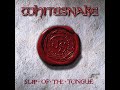 slip of the tongue 2009 remaster