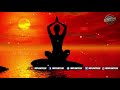 7 chakras p 6 స్థూలం నుండి ప్రజ్ఞామయం వరకు సహస్రార చక్రం shocking truth and science behind chakras