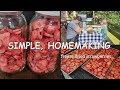 FREEZE DRIED STRAWBERRIES//HOMEMAKING