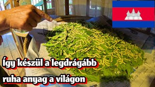 MILLIÁRD DOLLÁROS BIZNISZ HERNYÓKBÓL? 🇰🇭 Kambodzsa