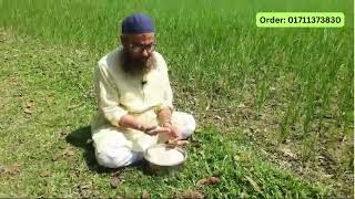 Tulshimala Aromatic Rice | Rice | Organic | Baby Food | Organic Food | Bangladesh Agriculture |