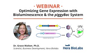 Webinar - Optimizing Gene Expression with Bioluminescence \u0026 the piggyBac System