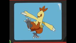 May Looks Up Torchic's Evolution In Her Pokedex