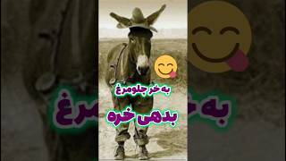 باهوشی خر آخر کلیپ #الأغاني_حرام #خنده #فان #رفیقانه #دوستان_ما_را_سابسكرايب_كنيد #بیست