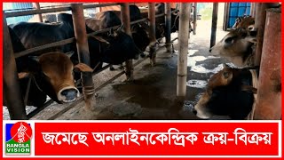 হাটের পাশাপাশি চট্টগ্রামের খামারেও জোরেসোরে চলছে পশু কেনাবেচা