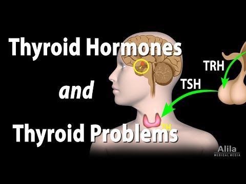 What is the effect of TSH and where is it produced?