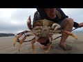 illegal dungeness crab fishing in san francisco canadian border update