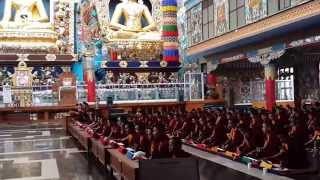 Prayer at Namdroling Monastery (Coorg)