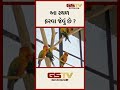 આ સ્થળ ફરવા જેવું છે