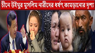 চীনে উইঘুর মুসলিমদের বর্তমান অবস্থা !! চোখে পানি ধরে রাখতে পারবেন না-news bangla china