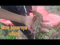 Jom menjaring ketam dan udang di pantai Kelanang Banting