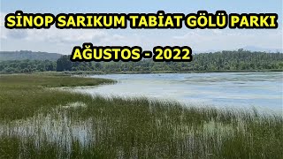 Sinop Sarıkum Tabiat Gölü Parkı | AĞUSTOS 2022