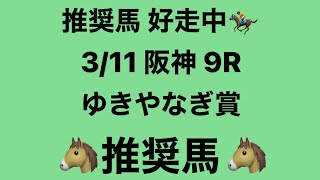 3月11日 阪神 9R ゆきやなぎ賞 推奨馬