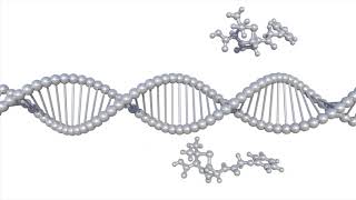 NYUAD High Throughput Screening Robot