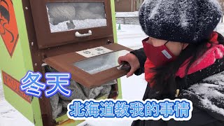 【美麗的雪國生活背後】那些北海道在冬天教我的事情