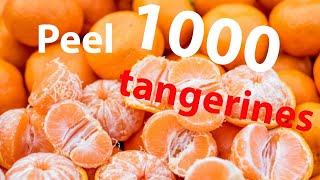 ASMR Peel 1000g tangerines with sleepy🍊99.9% of You Will Sleep 🤤깊게 잠들고 싶은 분들을 위한 ASM