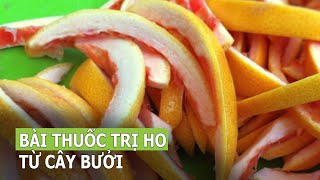 Bài thuốc trị ho từ cây bưởi cực hiệu quả | VTC16