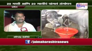 Sheti Mitra, Dairy farming to grow in Maharashtra