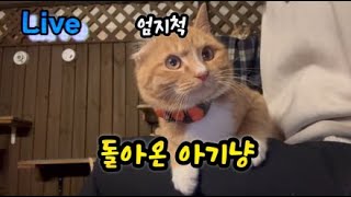 긴박했던 5일의 고비를 넘기고 정상으로 돌아온 엄지척