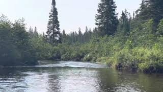 Heron On Potter Creek