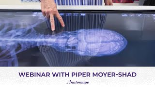 Anatomage Webinar with Piper Moyer-Shad | Using the Table in High Schools: Takeaways & Project Ideas