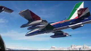 The Frecce Tricolori, the aerobatic team of the Italian Air Force