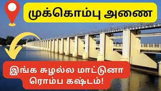 Top places to visit in Trichy|Mukkombu dam| முக்கொம்பு அணை| திருச்சி சுற்றுலா | Tourist place Trichy